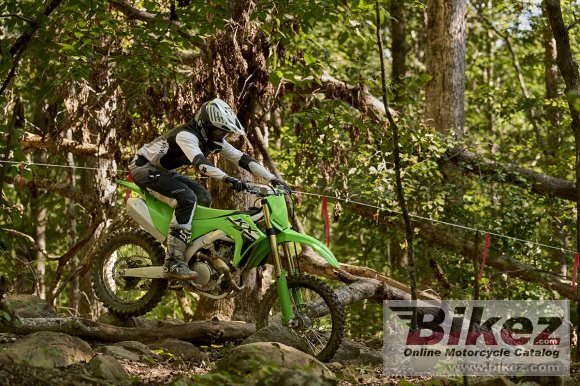 2024 Kawasaki KX450X