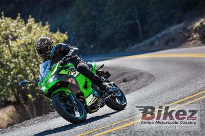 2025 Kawasaki Ninja 500 KRT Edition