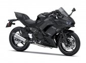 2025 Kawasaki Ninja 650 Performance