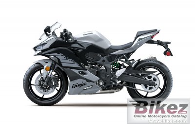 2025 Kawasaki Ninja ZX-4RR 