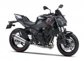 2025 Kawasaki Z650 Performance