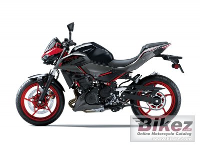 2025 Kawasaki Z500 SE