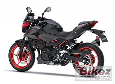 2025 Kawasaki Z500 SE Performance