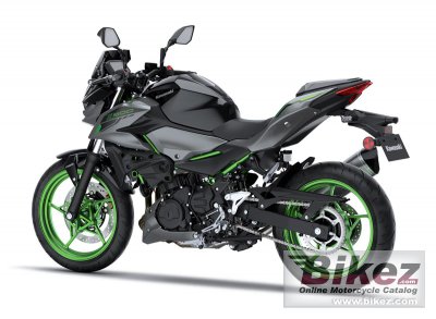 2025 Kawasaki Z500 SE Performance