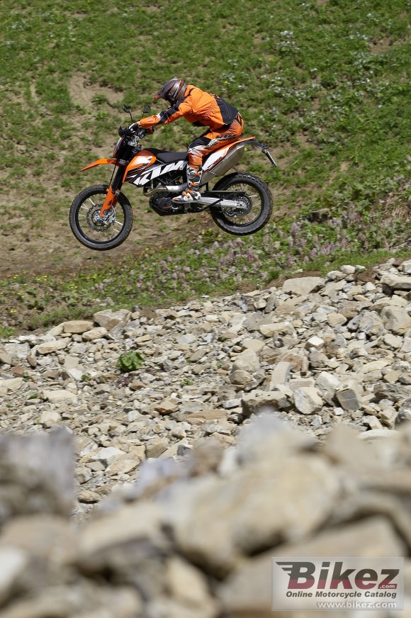 2010 KTM 690 Enduro