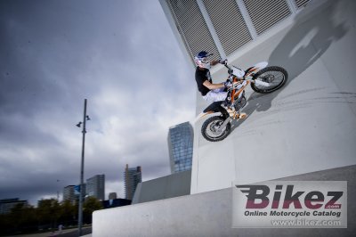 2013 KTM Freeride E