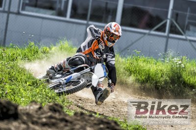 2017 KTM Freeride E-SX