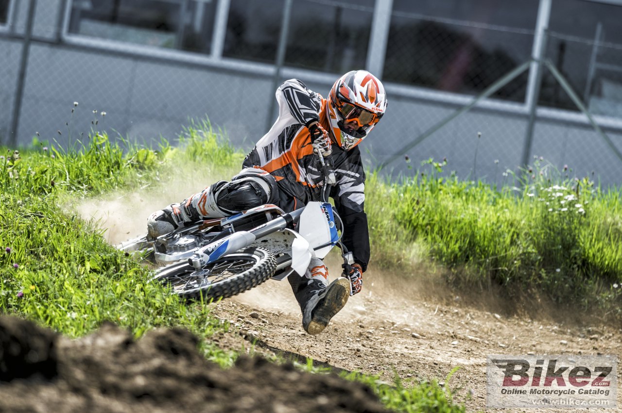 KTM Freeride E-SX