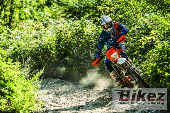 2018 KTM Freeride 250 F