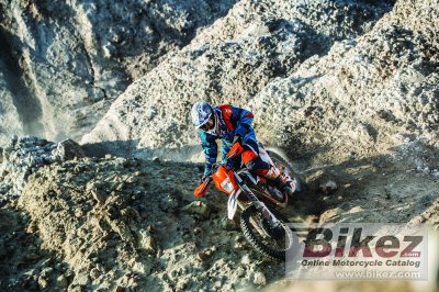 2018 KTM Freeride 250 F
