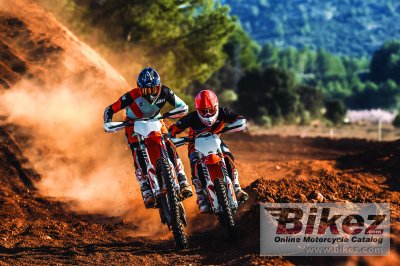 2019 KTM 450 SX-F