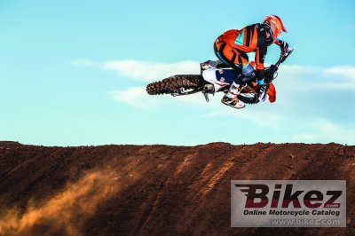 2019 KTM 450 SX-F