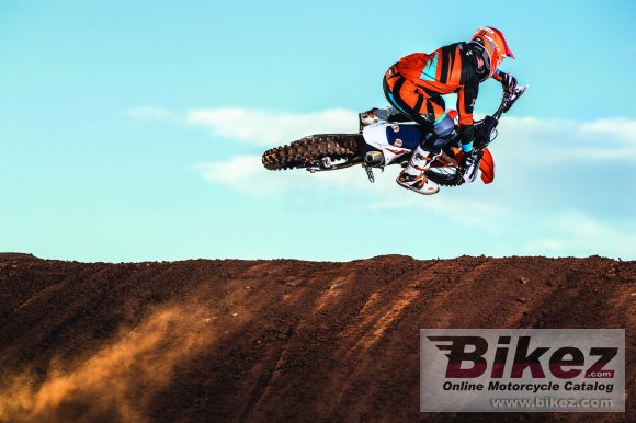 2019 KTM 450 SX-F