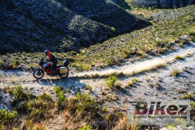 2019 KTM 1290 Super Adventure R