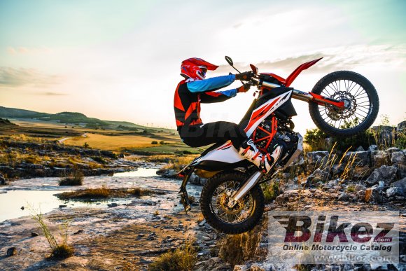 2019 KTM 690 Enduro R