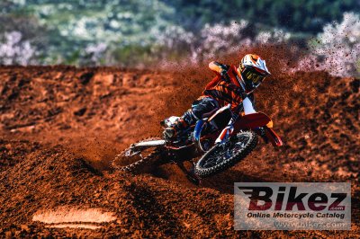 2019 KTM 85 SX