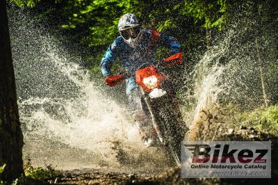 2019 KTM Freeride 250 F