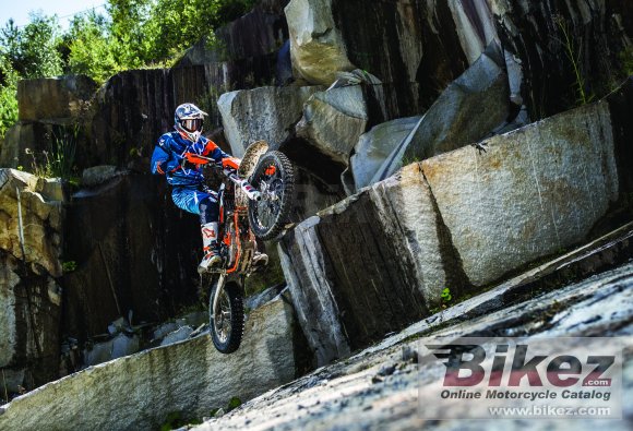 2019 KTM Freeride 250 F