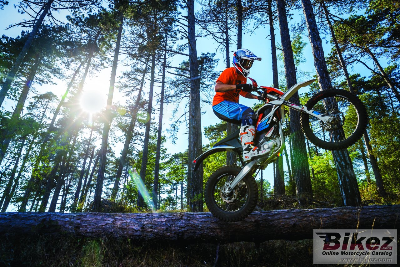 KTM Freeride E-XC