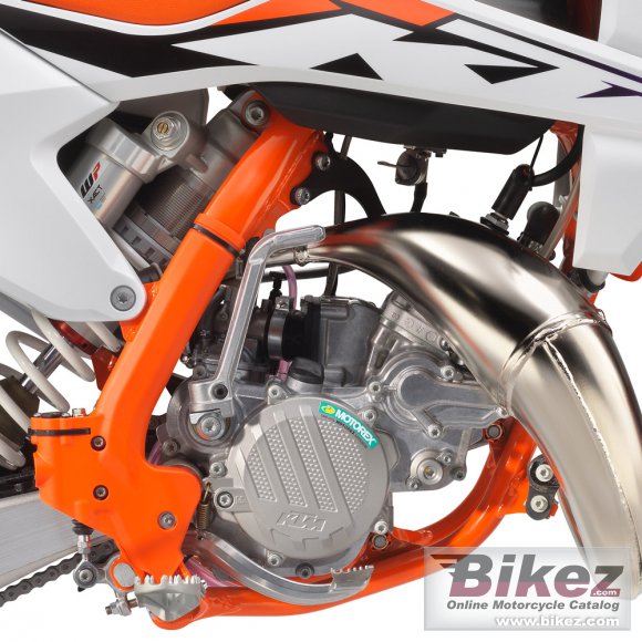 2024 KTM 85 SX 19-16