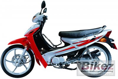 2004 Kymco Active 110 rated