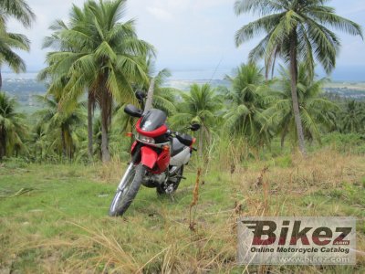 2007 Kymco Stryker (off road)