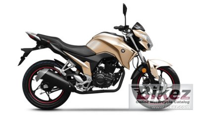 2013 Loncin LX175-21 CR5