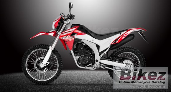 2017 Loncin SX2