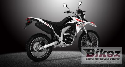 2017 Loncin SX2