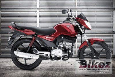 2011 Mahindra Stallio