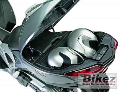 2010 Malaguti SpiderMax RS500