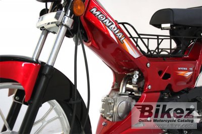 2012 Mondial Hyena 100 X