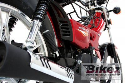 2012 Mondial Hyena 100 X