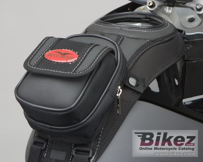 2009 Moto Guzzi Stelvio 1200 4V