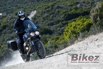 2013 Moto Guzzi Stelvio 1200 NTX