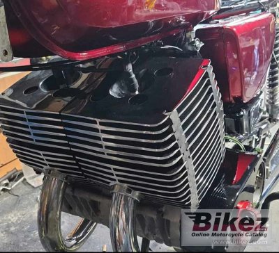1988 MuZ ETZ 250