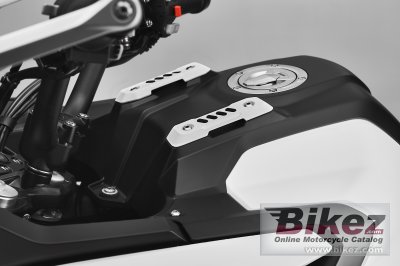 2023 MV Agusta Lucky Explorer 5.5