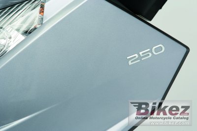 2009 Peugeot Satelis 250