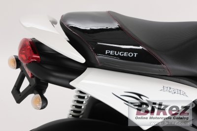 2009 Peugeot Blaster RS12