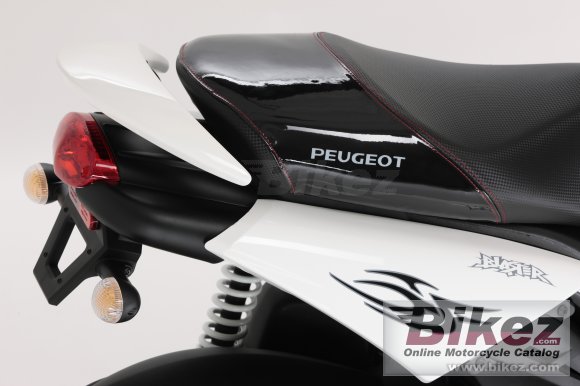 2009 Peugeot Blaster RS12