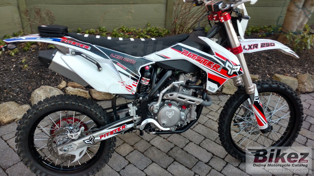 Pitster Pro LXR 250F