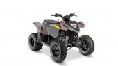 2024 Polaris Phoenix 200