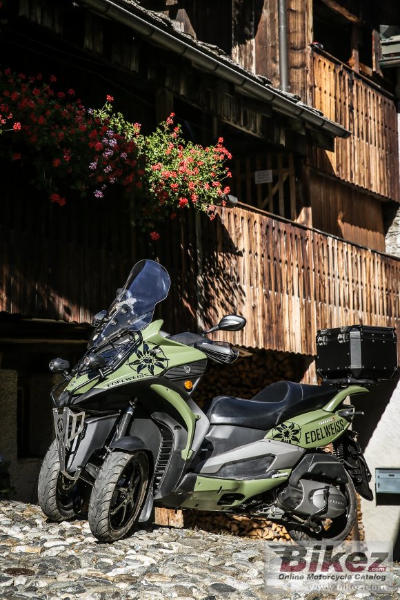 2018 Quadro 3 Edelweiss