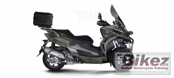 2018 Quadro 3 Edelweiss