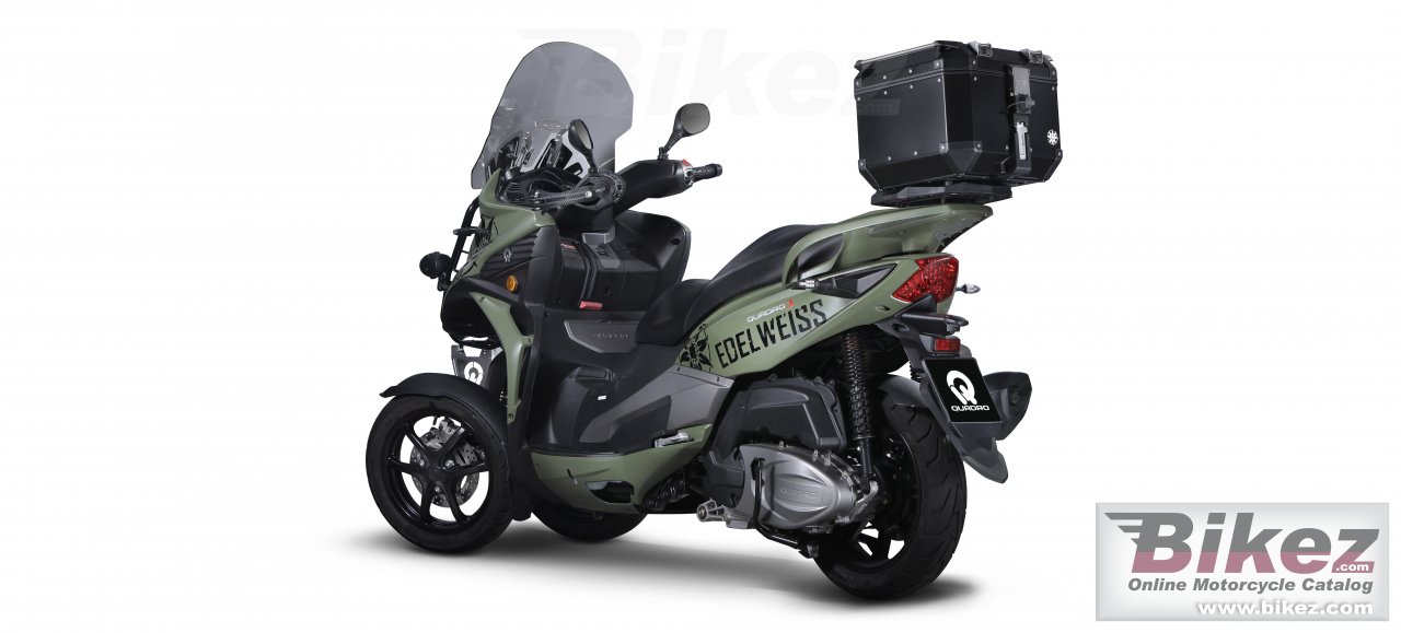 Quadro 3 Edelweiss