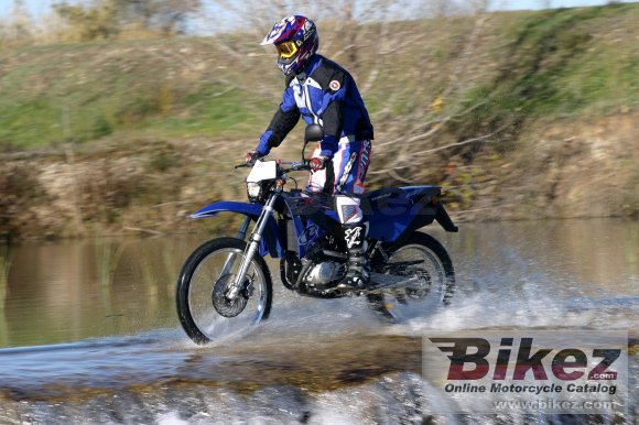 2007 Rieju MRX 125