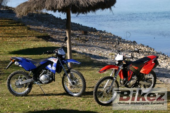 2007 Rieju MRX 125