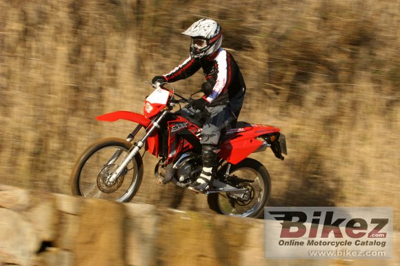 2008 Rieju MRX 50