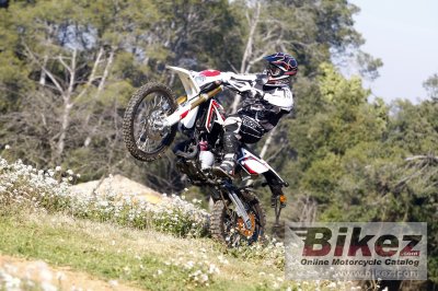 2011 Rieju MRT Pro 50  