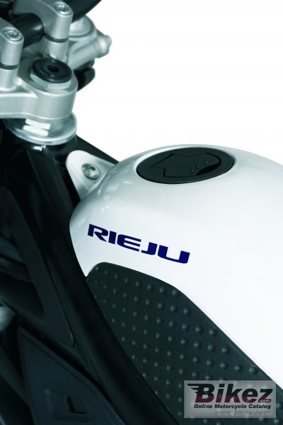 2011 Rieju Tango 250